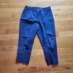Susan Graver Size 10 Blue Pants